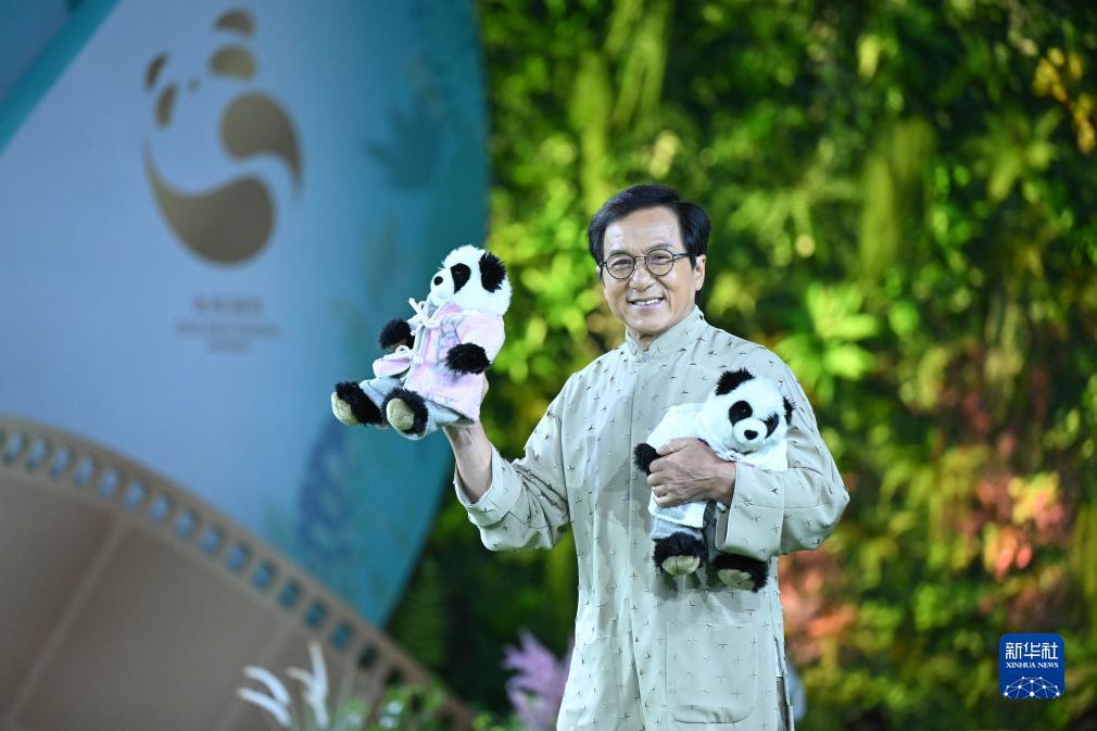 如何抓长龙